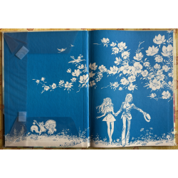 L'oiseau de par-ci, par-là