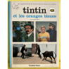 Tintin et les oranges bleues